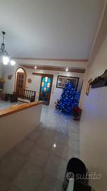Appartamento  luminoso 