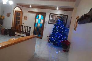 Appartamento  luminoso 