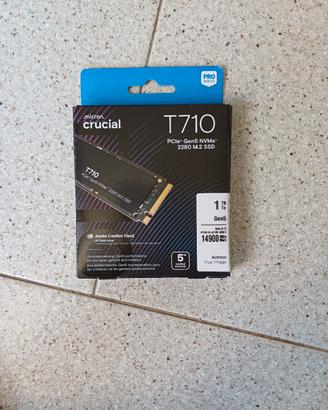 t 710 crucial 
