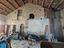 Immagine 11