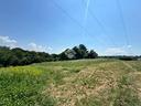 ter-agricolo-a-san-cesareo