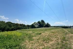 TER. AGRICOLO A SAN CESAREO