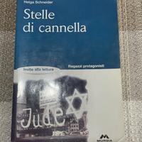 Libro Stelle di cannella