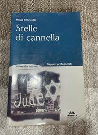 Libro Stelle di cannella