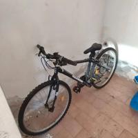 Bicicletta
