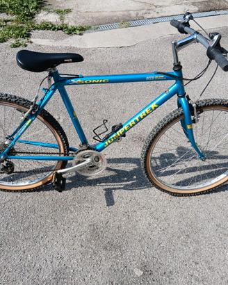 Mountain bike da uomo 26