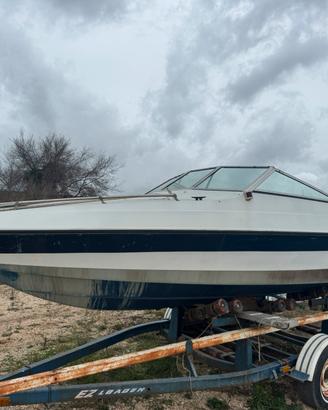 Scafo Wellcraft 6 mt