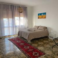 Casa Vacanze The Domus Olmedo