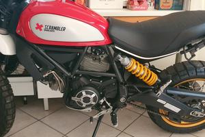 Ducati Scrambler desert sled 800