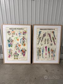 Poster trigger point