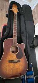 TAKAMINE EG333C 