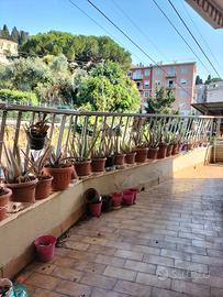 Rapallo bilocale esposto a sud