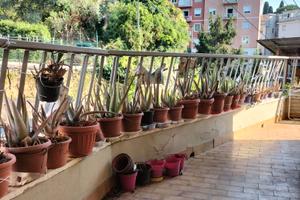 Rapallo bilocale esposto a sud