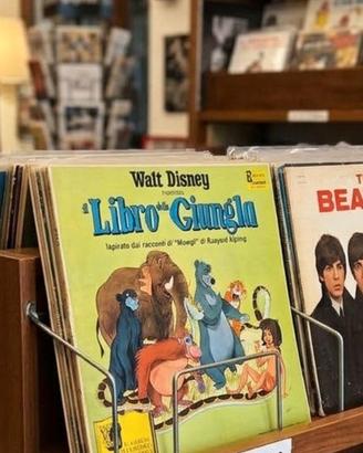 disco in vinile con libro illustrativo raro 