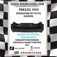 PARAURTI POSTERIORE CENTRALE SMART 451