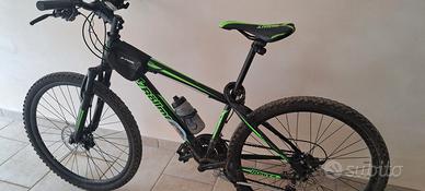  BICI MTB