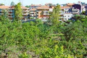 Terreno - Santa Venerina