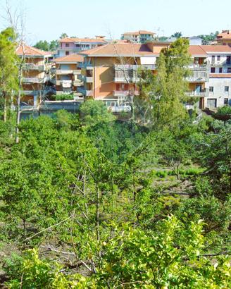 Terreno - Santa Venerina