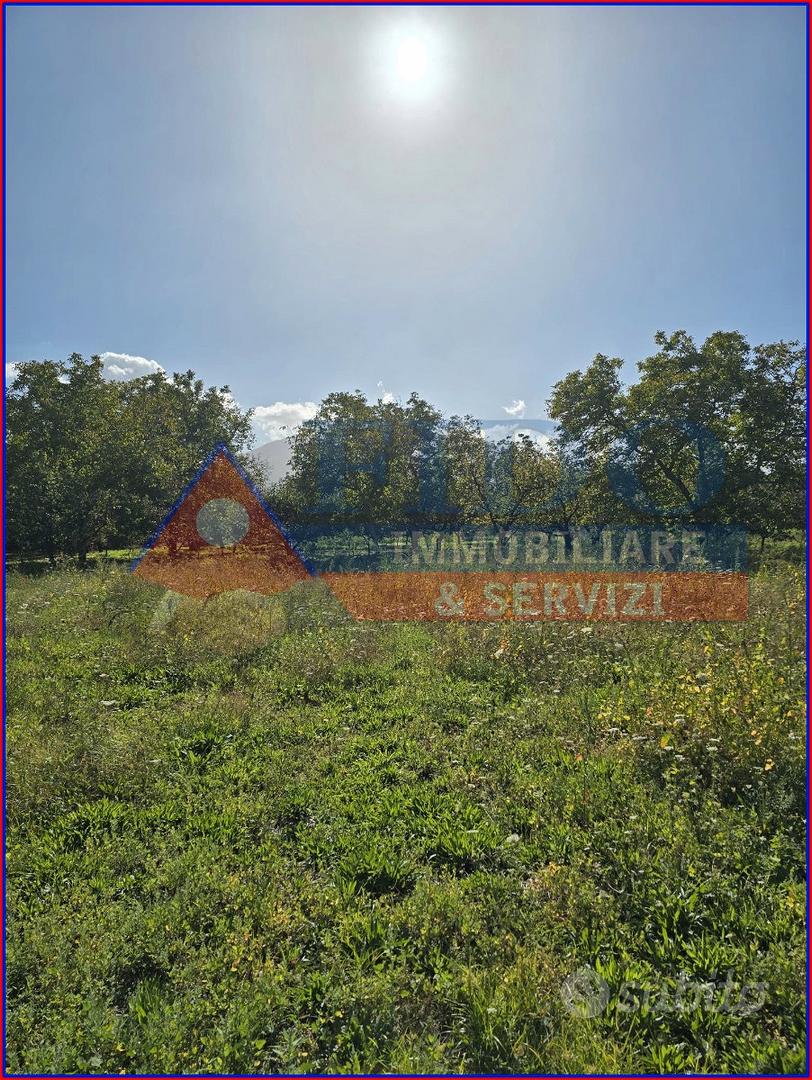 Terreno agricolo di 3.700 mq - Vista 2