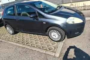 FIAT PUNTO neo patentati