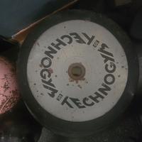 Dischi technogym 28 mm