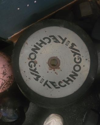 Dischi technogym 28 mm