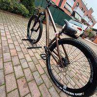 Bici dirt