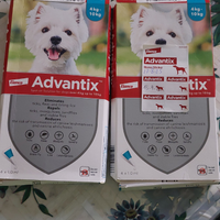 Pepite per cani fino a 10 kg