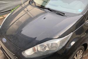 Ford fiesta gpl 270000 km