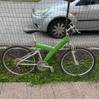 Bici da uomo Pini Farina