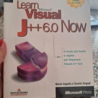 Learn Visual J++ 6.0 Now. Libro fuori catalogo.