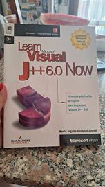 Learn Visual J++ 6.0 Now. Libro fuori catalogo.