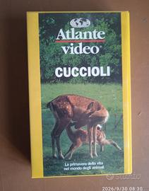 VHS Videocassetta vintage - Atlante Video, Cucciol