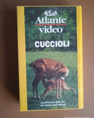 VHS Videocassetta vintage - Atlante Video, Cucciol