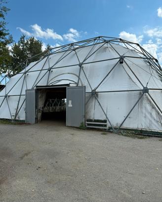 Tensostruttura geodetica