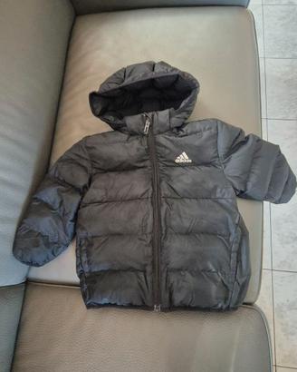 Bomber bambino adidas 2/3 anni