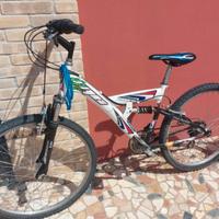 bicicletta mountain bike 
