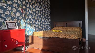 Stanza singola Milano Bicocca