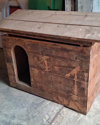 cuccia per cani