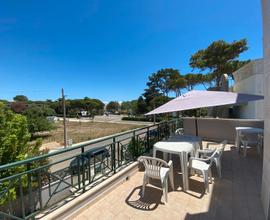 Metaponto - 150m mare - 26/2 agosto - 8 persone