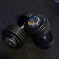 coppia manubri 20-24