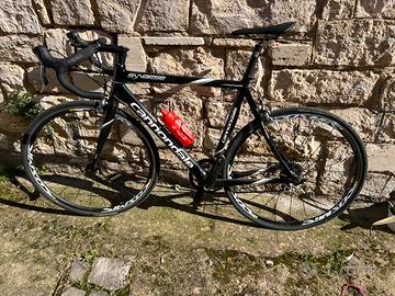 Canondale Synapse CARBONIO  Taglia.L