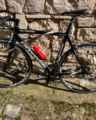 Canondale Synapse CARBONIO  Taglia.L