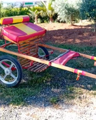 calessino e selle per cavallo grande