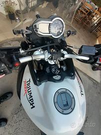 Tiger800 