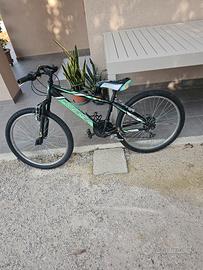 MTB bicicletta 