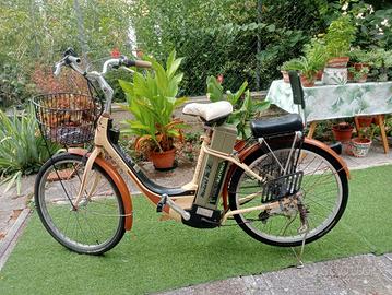 bicicletta elettrica