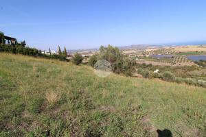 TER. RESIDENZIALE A ATRI
