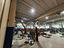 Immagine 16