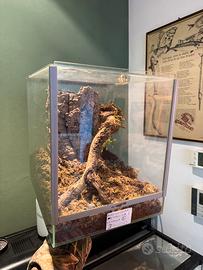 Teca terrario 30 x 25 x 25